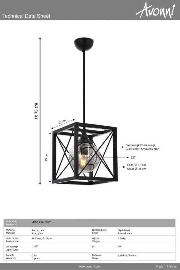 Siyah Boyalı Modern Çilçıraq E27 Metal Cam 25x25cm - 4