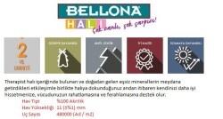 BELLONA ÖZEL SERİ %100 AKRİLİK HALI 4m² 150x230 VOKAL 6877-S10 - 3